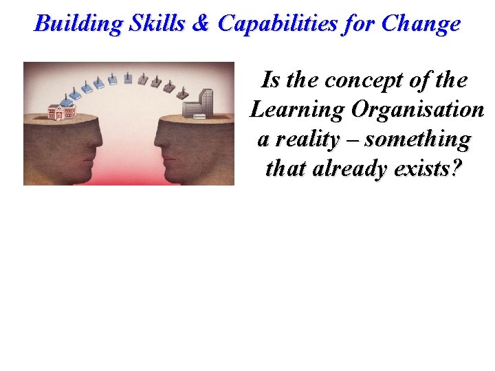 Building Skills & Capabilities for Change Is the concept of the Learning Organisation a