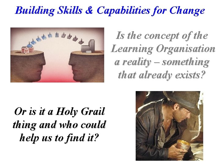 Building Skills & Capabilities for Change Is the concept of the Learning Organisation a