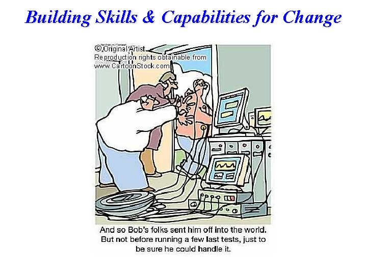 Building Skills & Capabilities for Change 