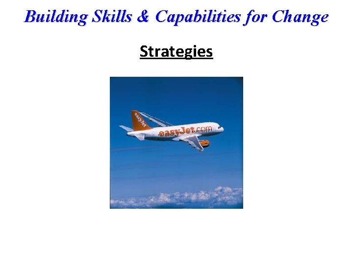 Building Skills & Capabilities for Change Strategies 