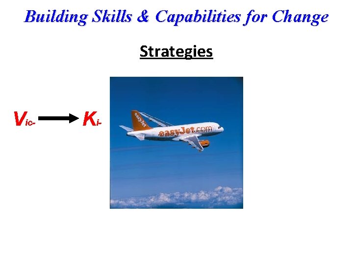 Building Skills & Capabilities for Change Strategies Vic- Ki- 