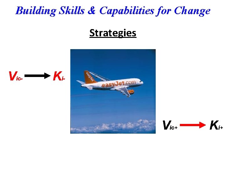 Building Skills & Capabilities for Change Strategies Vic- Ki- Vic+ Ki+ 