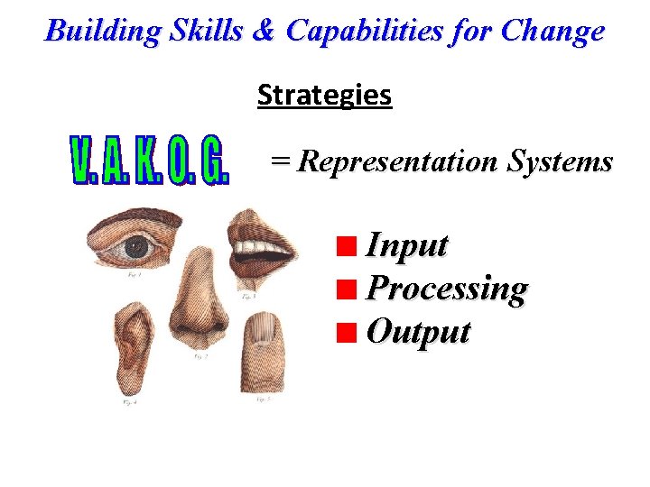 Building Skills & Capabilities for Change Strategies = Representation Systems Input Processing Output 