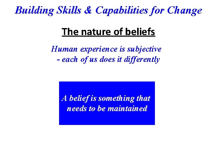 Building Skills & Capabilities for Change The nature of beliefs Human experience is subjective