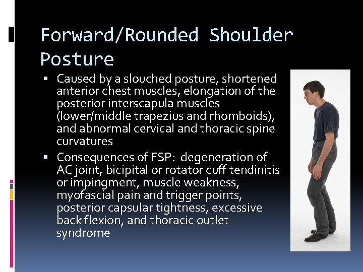 Forward/Rounded Shoulder Posture Caused by a slouched posture, shortened anterior chest muscles, elongation of
