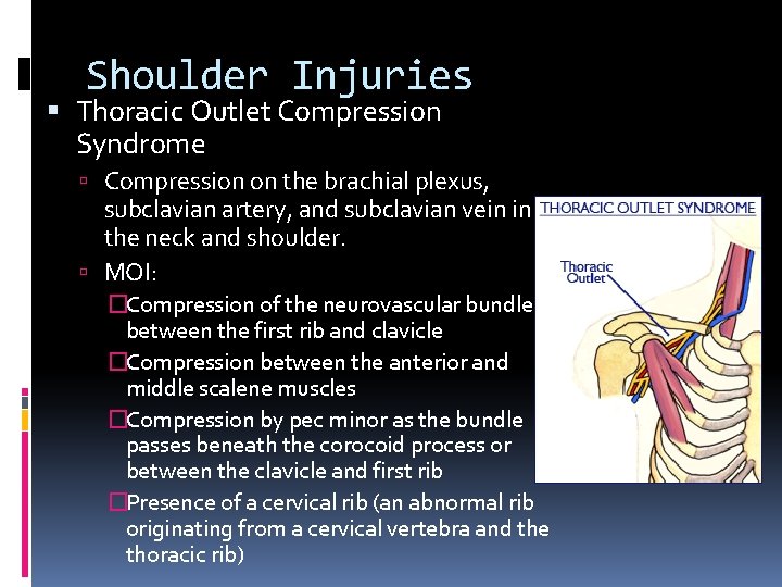 Shoulder Injuries Thoracic Outlet Compression Syndrome Compression on the brachial plexus, subclavian artery, and