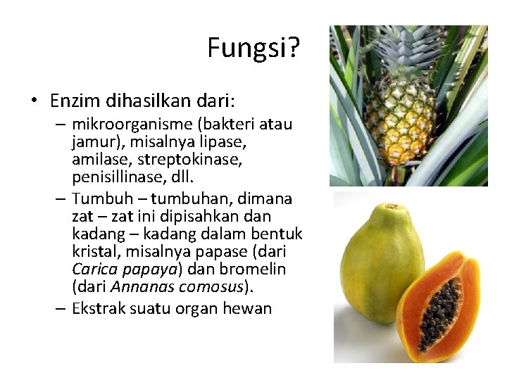 Fungsi? • Enzim dihasilkan dari: – mikroorganisme (bakteri atau jamur), misalnya lipase, amilase, streptokinase,