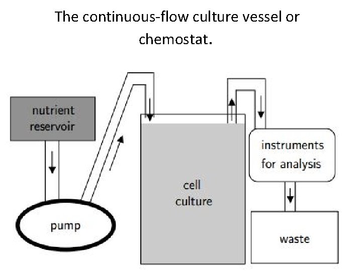 The continuous-flow culture vessel or chemostat. 