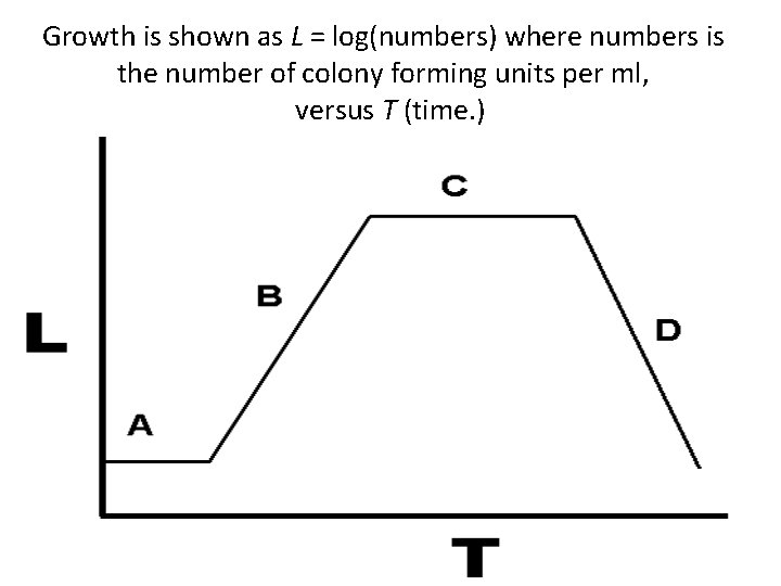 Growth is shown as L = log(numbers) where numbers is the number of colony