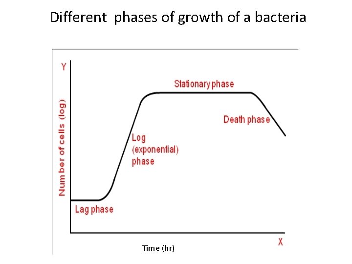 Different phases of growth of a bacteria Time (hr) 