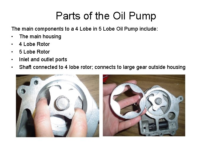 Parts of the Oil Pump The main components to a 4 Lobe in 5