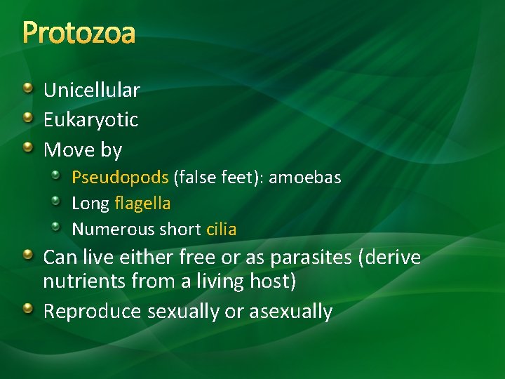 Protozoa Unicellular Eukaryotic Move by Pseudopods (false feet): amoebas Long flagella Numerous short cilia
