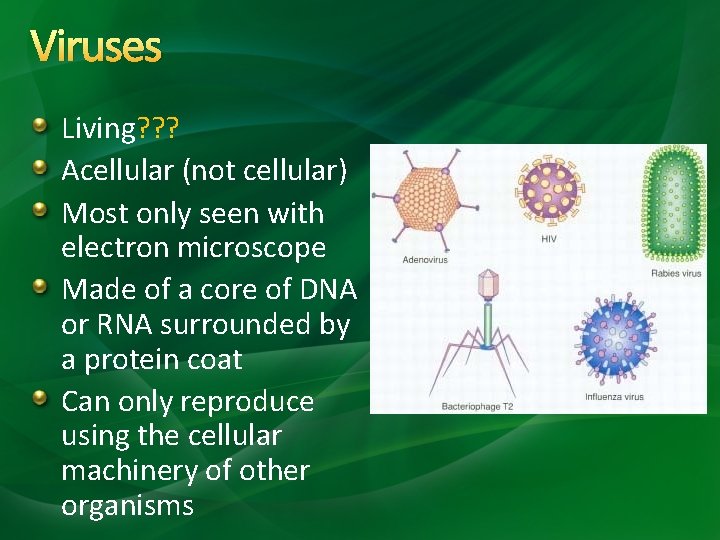 Viruses Living? ? ? Acellular (not cellular) Most only seen with electron microscope Made