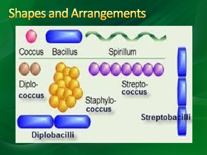 Shapes and Arrangements 