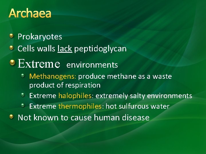 Archaea Prokaryotes Cells walls lack peptidoglycan Extreme environments Methanogens: produce methane as a waste