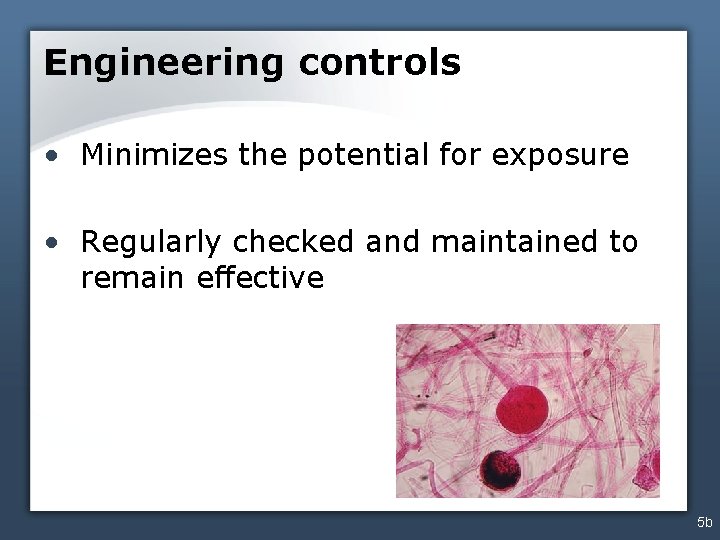Engineering controls • Minimizes the potential for exposure • Regularly checked and maintained to