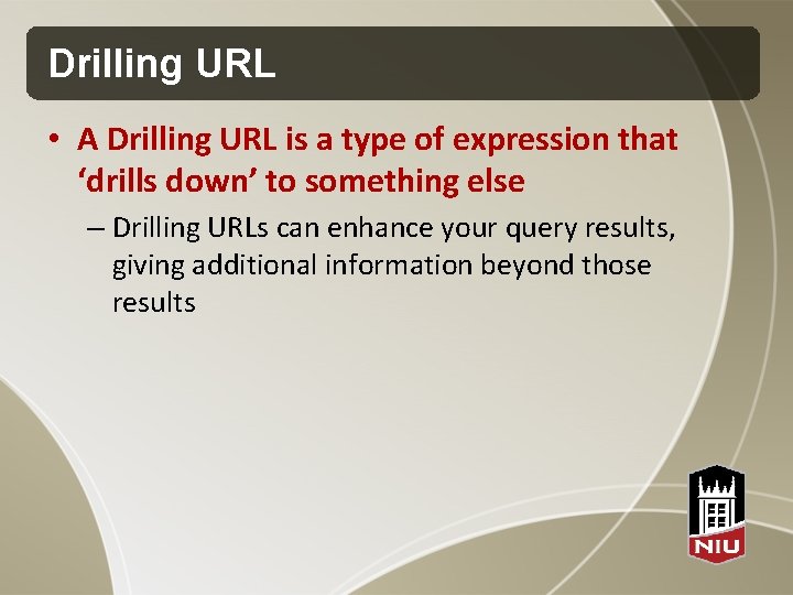 Drilling URL • A Drilling URL is a type of expression that ‘drills down’