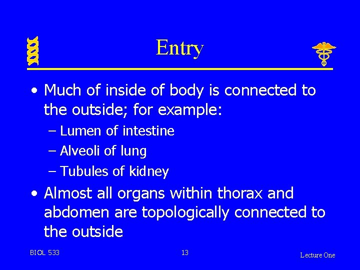 Entry • Much of inside of body is connected to the outside; for example: