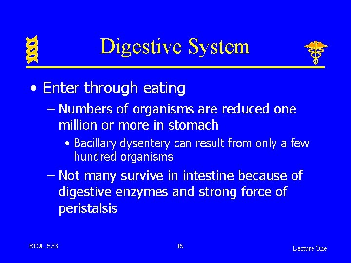 Digestive System • Enter through eating – Numbers of organisms are reduced one million