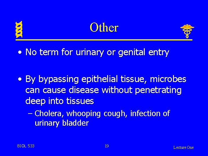 Other • No term for urinary or genital entry • By bypassing epithelial tissue,