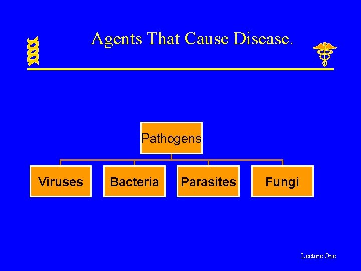 Agents That Cause Disease. Pathogens Viruses Bacteria Parasites Fungi Lecture One 