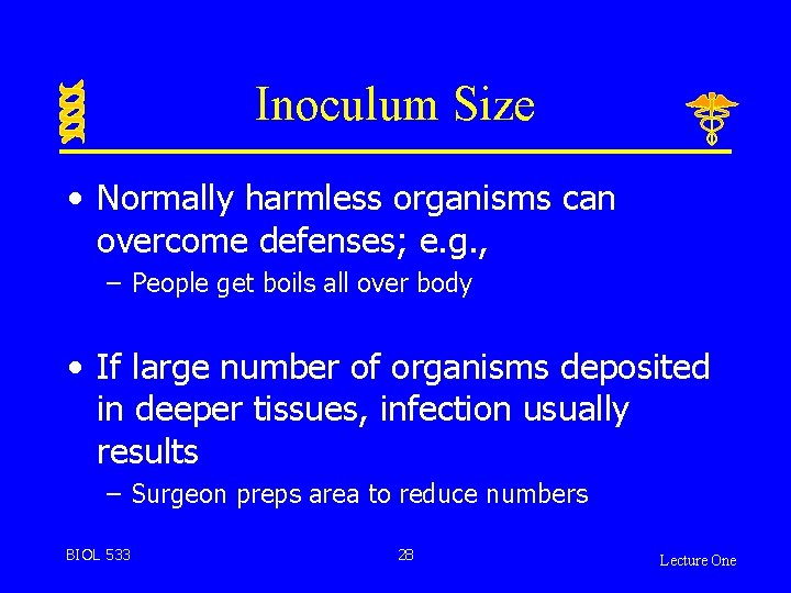 Inoculum Size • Normally harmless organisms can overcome defenses; e. g. , – People