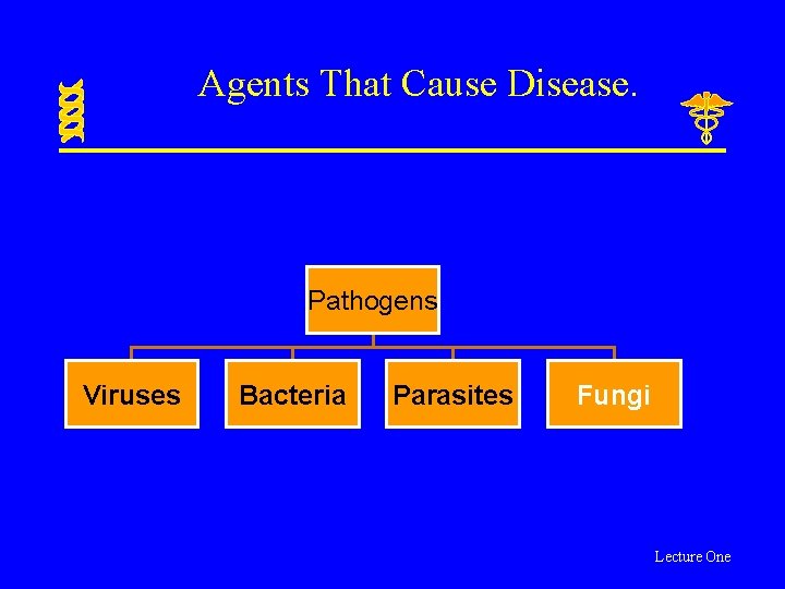 Agents That Cause Disease. Pathogens Viruses Bacteria Parasites Fungi Lecture One 