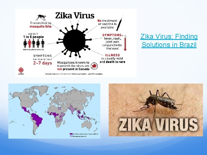 Zika Virus: Finding Solutions in Brazil 