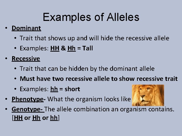 Examples of Alleles • Dominant • Trait that shows up and will hide the