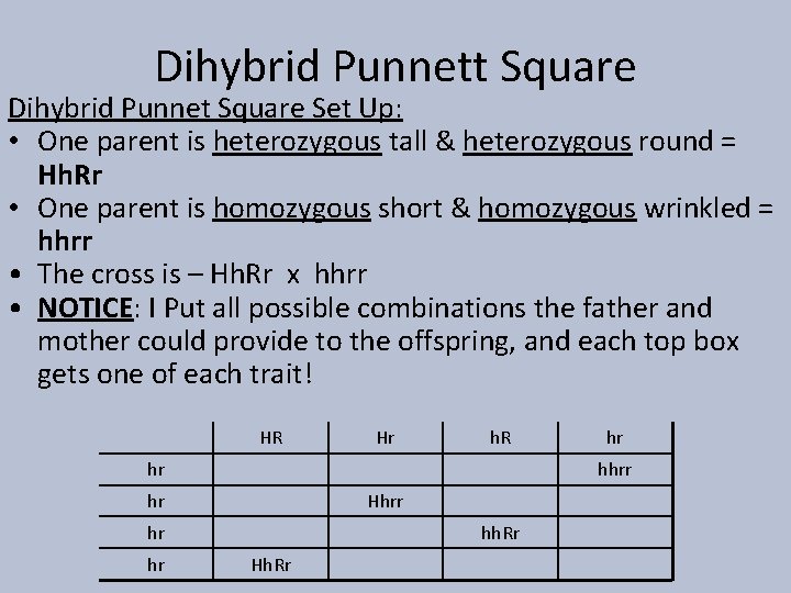 Dihybrid Punnett Square Dihybrid Punnet Square Set Up: • One parent is heterozygous tall