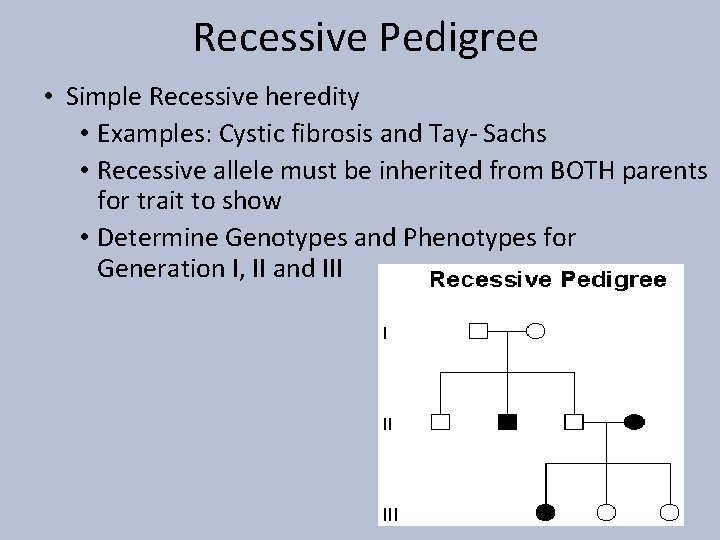 Recessive Pedigree • Simple Recessive heredity • Examples: Cystic fibrosis and Tay- Sachs •