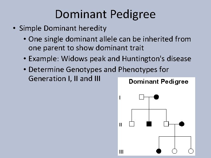 Dominant Pedigree • Simple Dominant heredity • One single dominant allele can be inherited