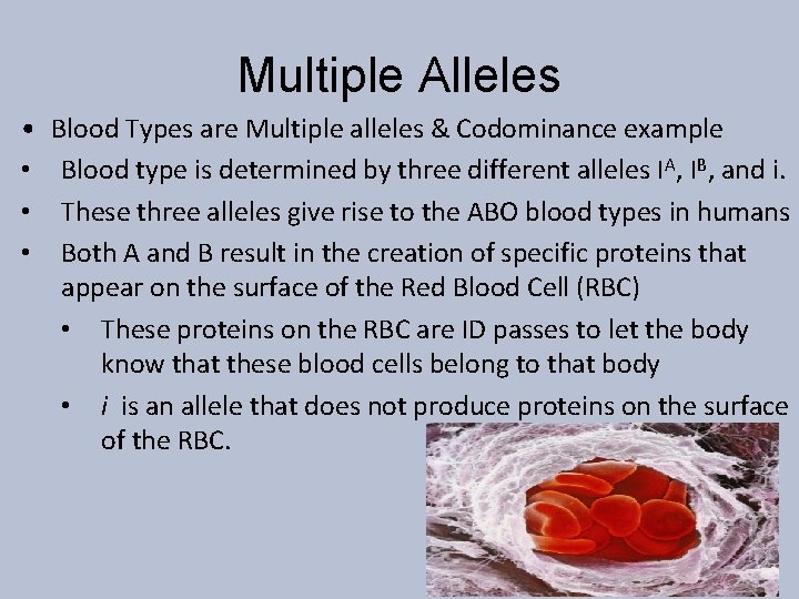 Multiple Alleles • • Blood Types are Multiple alleles & Codominance example Blood type