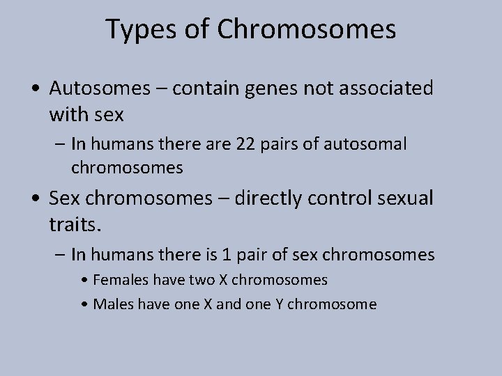 Types of Chromosomes • Autosomes – contain genes not associated with sex – In