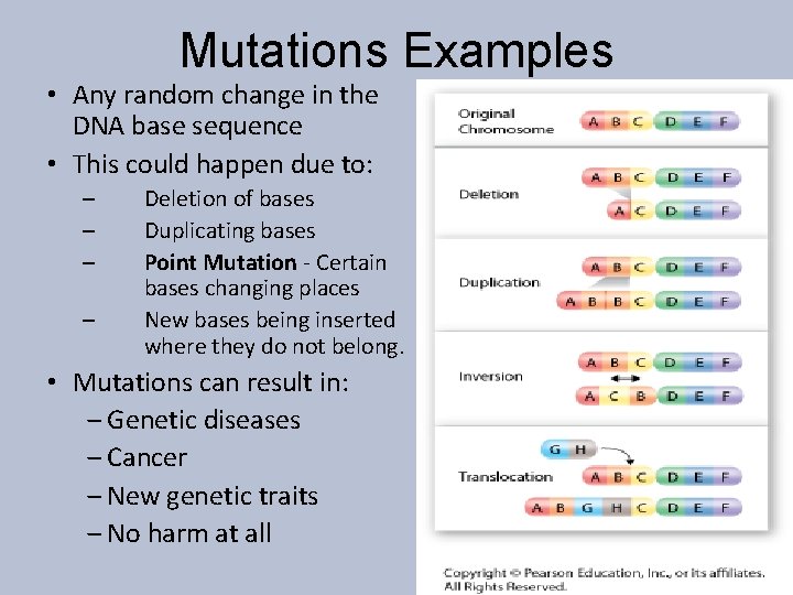 Mutations Examples • Any random change in the DNA base sequence • This could