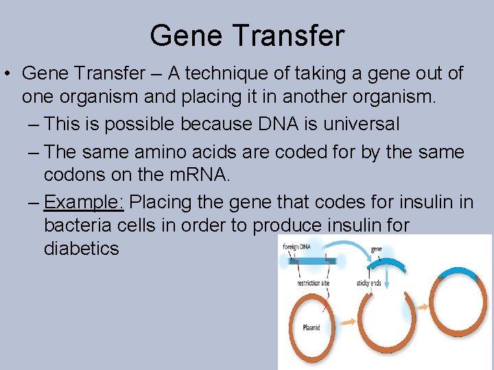 Gene Transfer • Gene Transfer – A technique of taking a gene out of