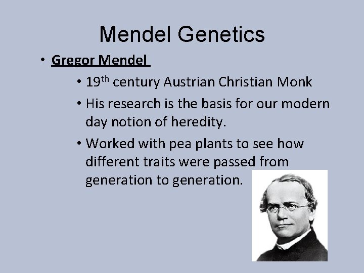 Mendel Genetics • Gregor Mendel • 19 th century Austrian Christian Monk • His