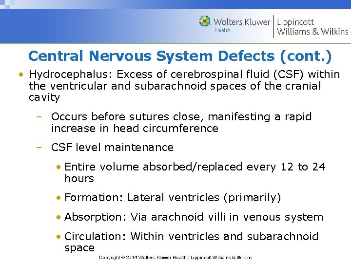 Central Nervous System Defects (cont. ) • Hydrocephalus: Excess of cerebrospinal fluid (CSF) within