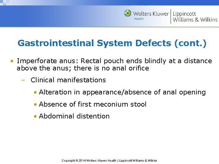 Gastrointestinal System Defects (cont. ) • Imperforate anus: Rectal pouch ends blindly at a