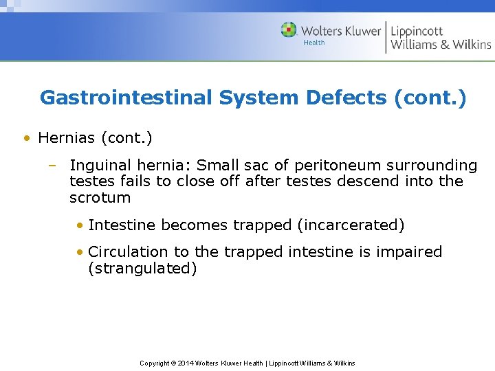 Gastrointestinal System Defects (cont. ) • Hernias (cont. ) – Inguinal hernia: Small sac