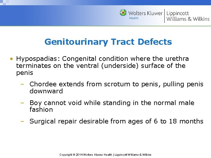 Genitourinary Tract Defects • Hypospadias: Congenital condition where the urethra terminates on the ventral