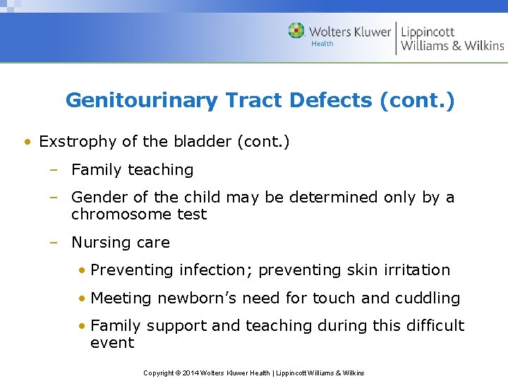 Genitourinary Tract Defects (cont. ) • Exstrophy of the bladder (cont. ) – Family