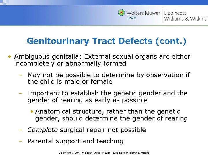 Genitourinary Tract Defects (cont. ) • Ambiguous genitalia: External sexual organs are either incompletely