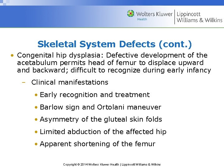Skeletal System Defects (cont. ) • Congenital hip dysplasia: Defective development of the acetabulum