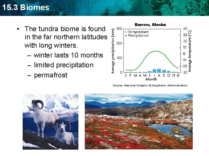 15. 3 Biomes • The tundra biome is found in the far northern latitudes