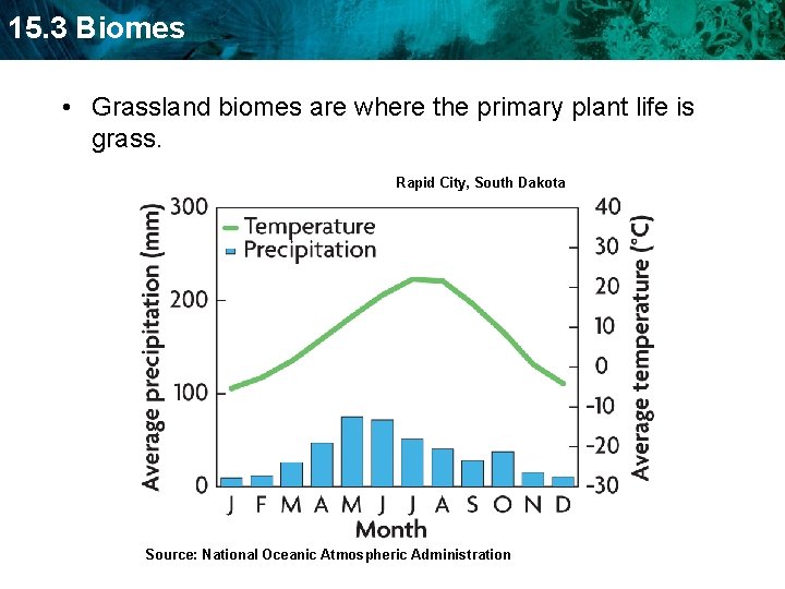 15. 3 Biomes • Grassland biomes are where the primary plant life is grass.