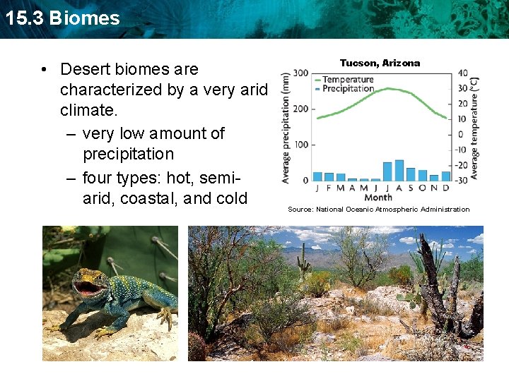 15. 3 Biomes • Desert biomes are characterized by a very arid climate. –