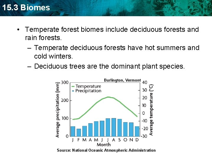 15. 3 Biomes • Temperate forest biomes include deciduous forests and rain forests. –