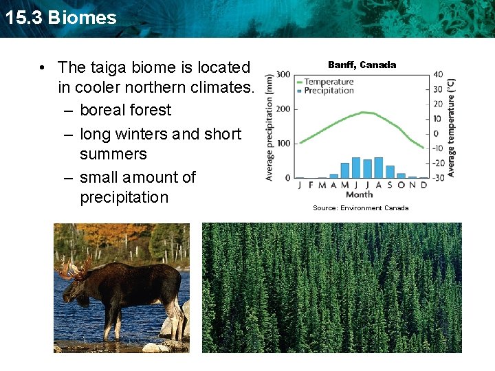 15. 3 Biomes • The taiga biome is located in cooler northern climates. –