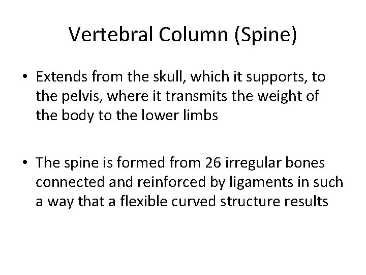 Vertebral Column (Spine) • Extends from the skull, which it supports, to the pelvis, Vertebral Column (Spine) • Extends from the skull, which it supports, to the pelvis,